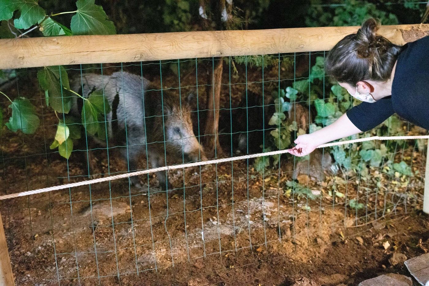 Humaina-Sports-and-Entertainment-17