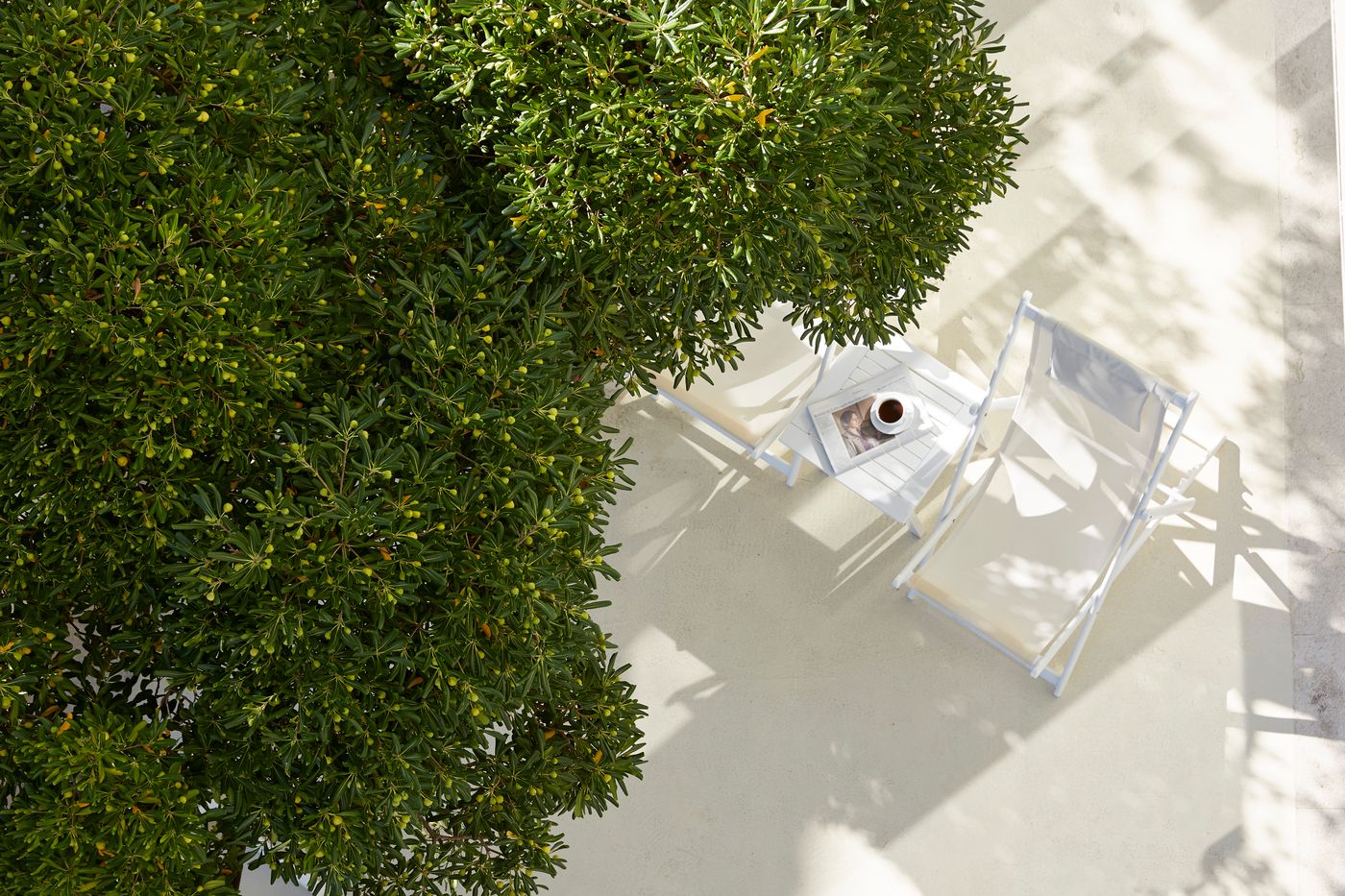 Mayor-Mon-Repos-Palace--Art-Hotel-Pool-11