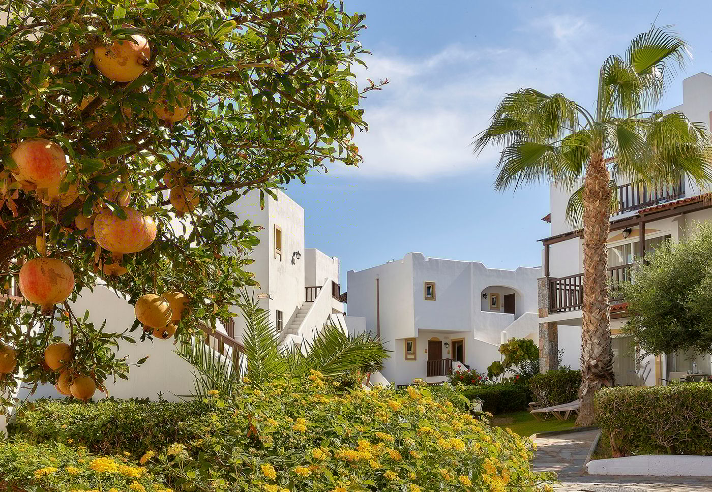 Alexander-Beach-Hotel-and-Village-Terrace-14