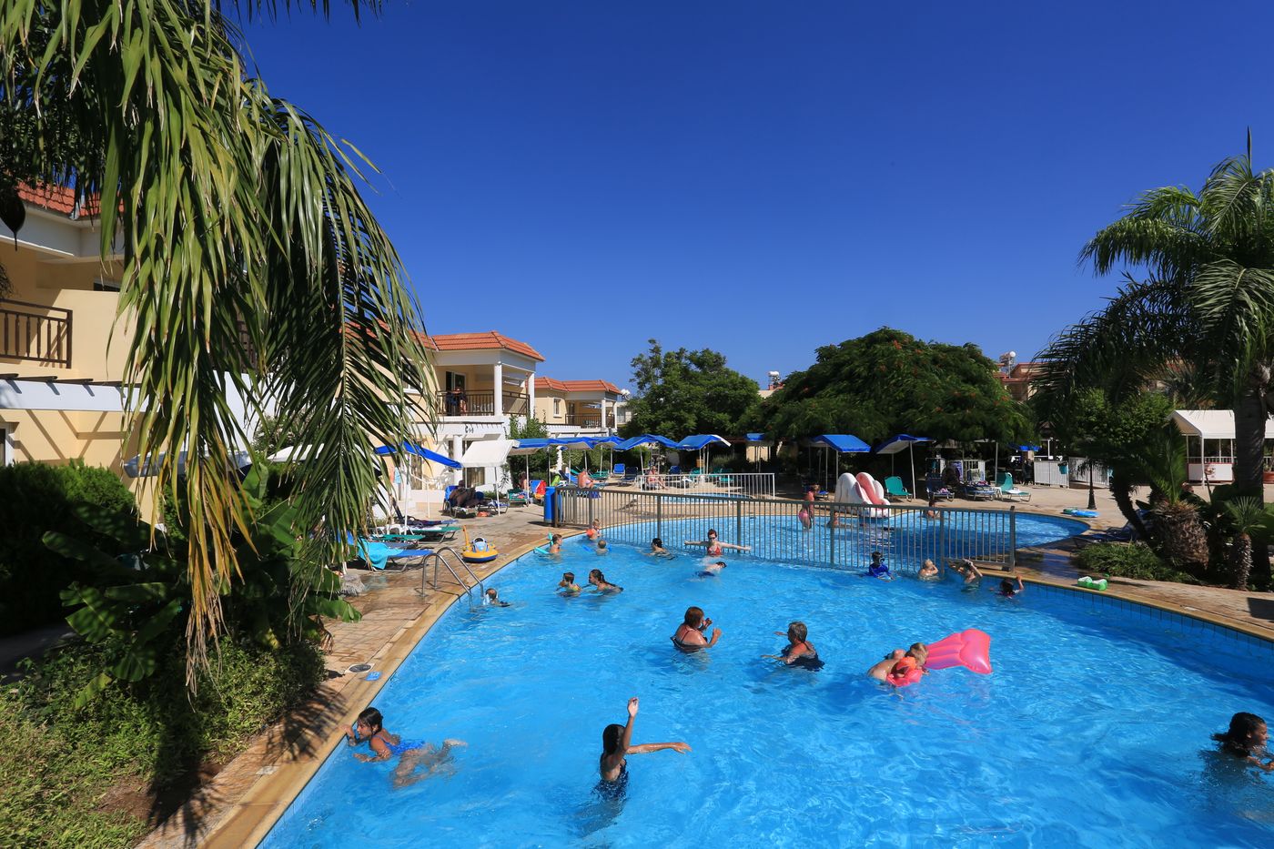 Pantelia - Jacaranda