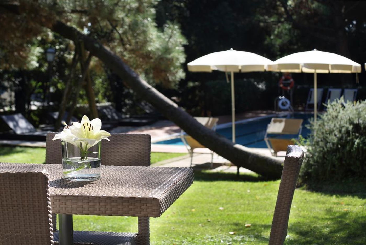 Villa-Delle-Rose-General-view-8