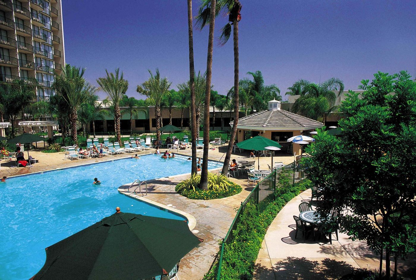 Sheraton-Park-Hotel-at-the-Anaheim-Resort-Pool-80