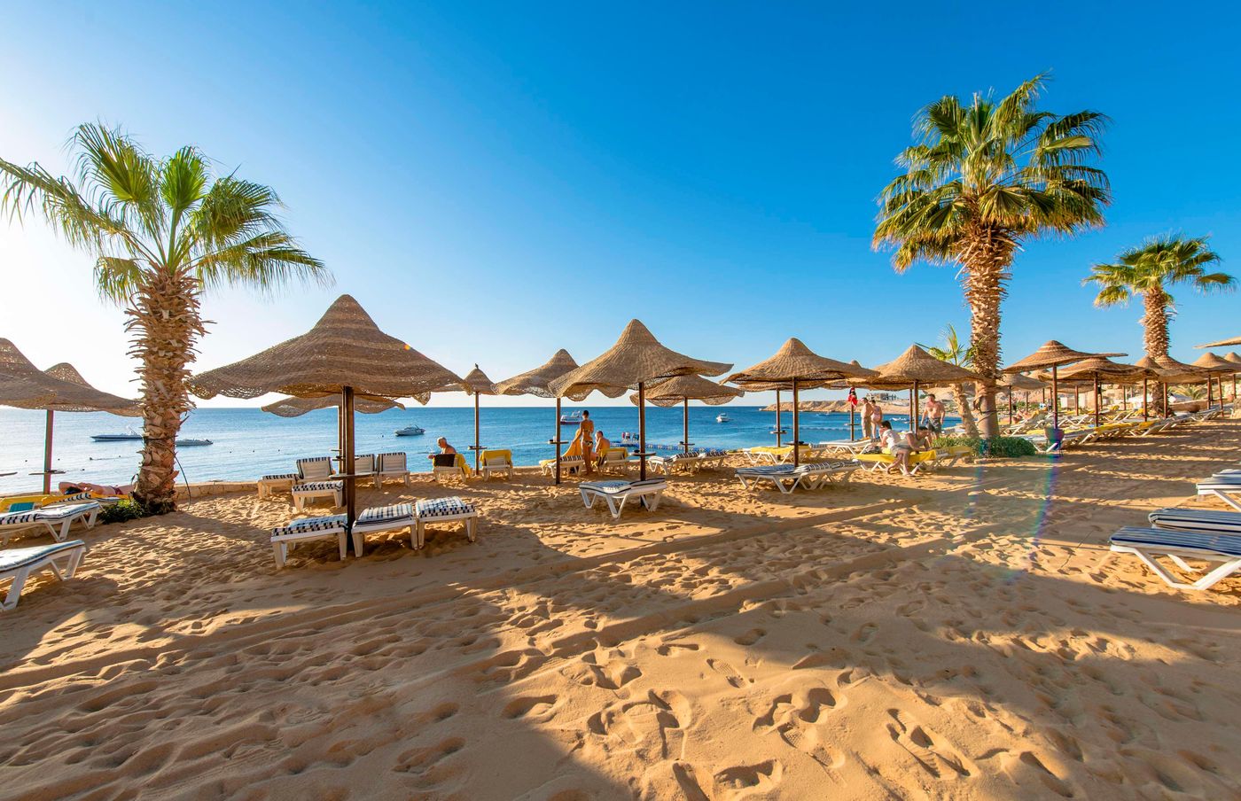 Concorde-El-Salam-Sharm-El-Sheikh-Beach-75