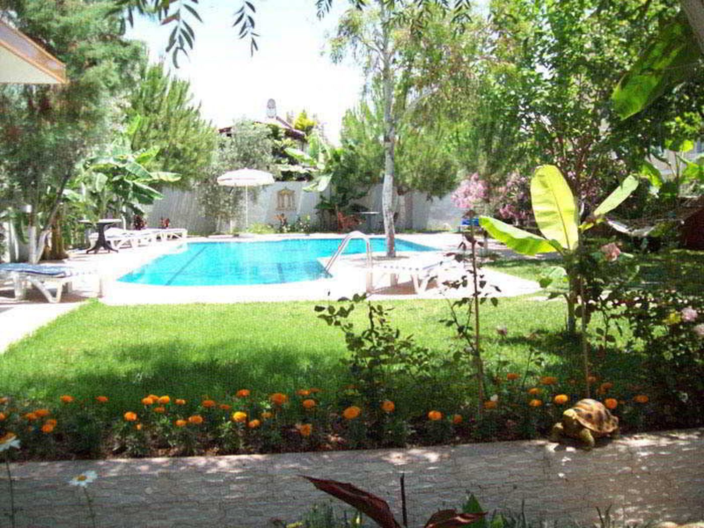 Vanilla-General-view-15