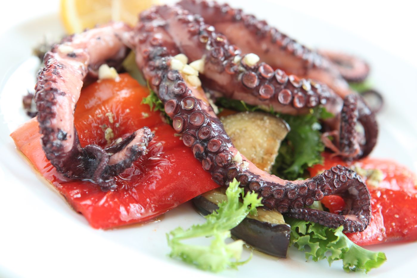 Novella Uno-Serbia-NOVI BANOVCI-General view-4