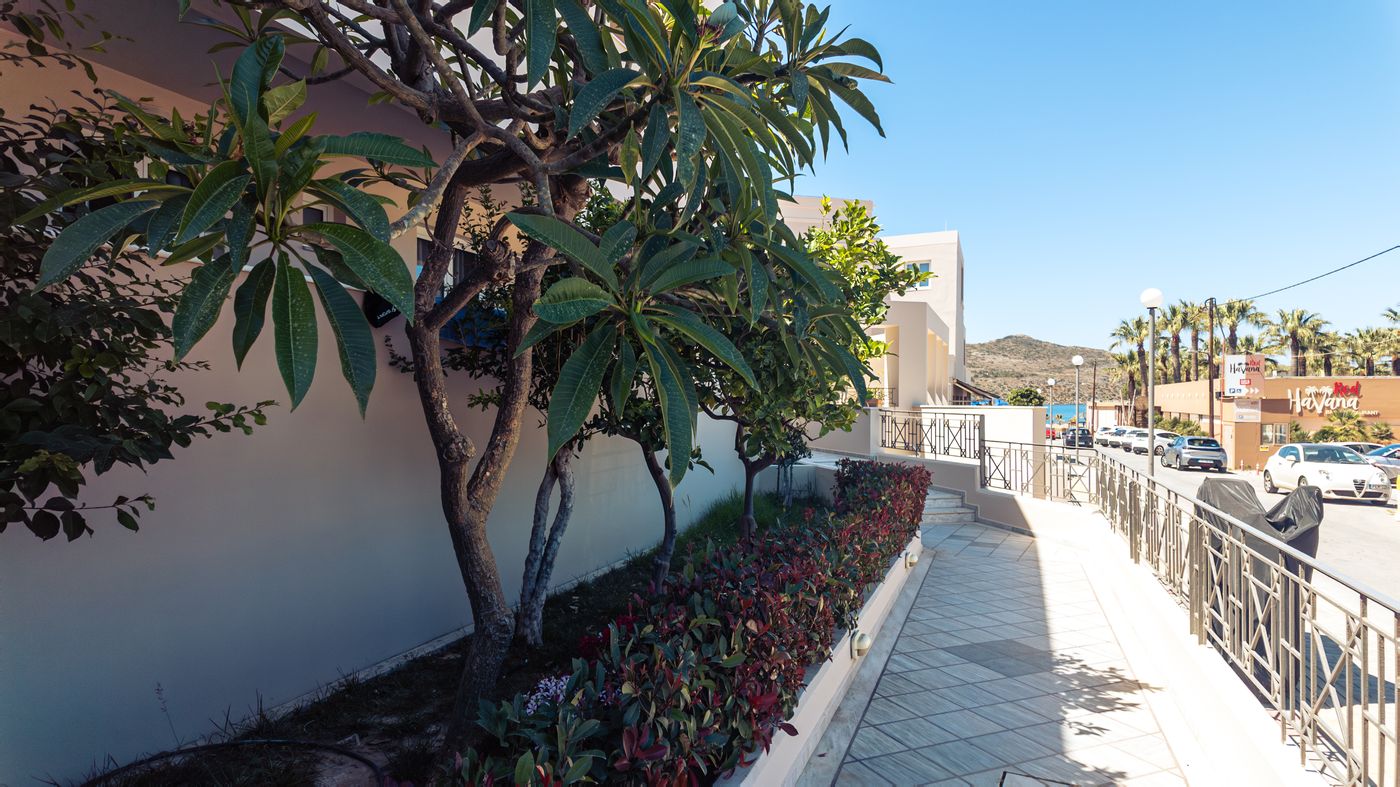 Ilianthos-Village-Terrace-14