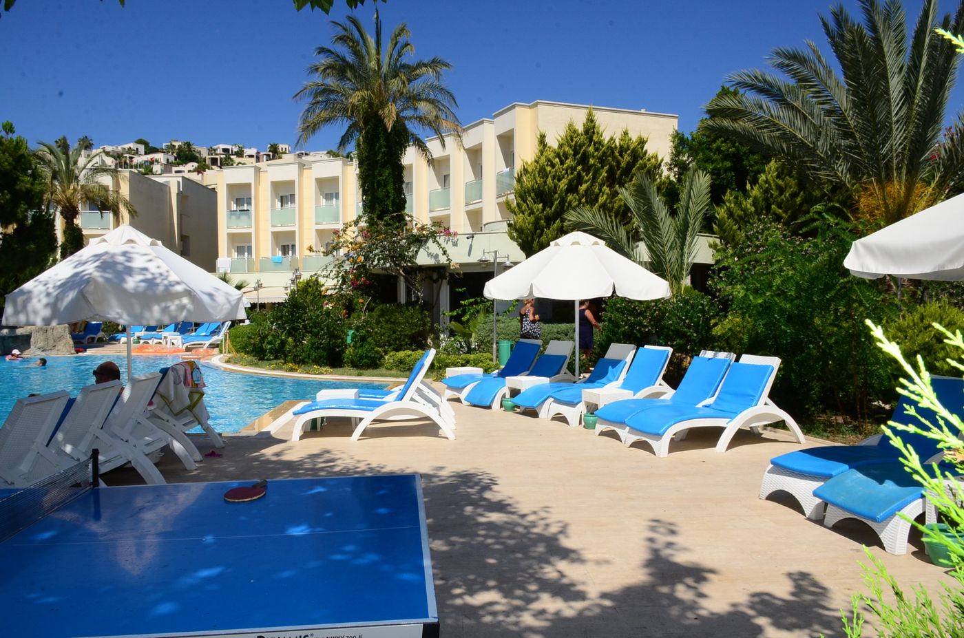 Royal-Palm-Beach-Pool-15