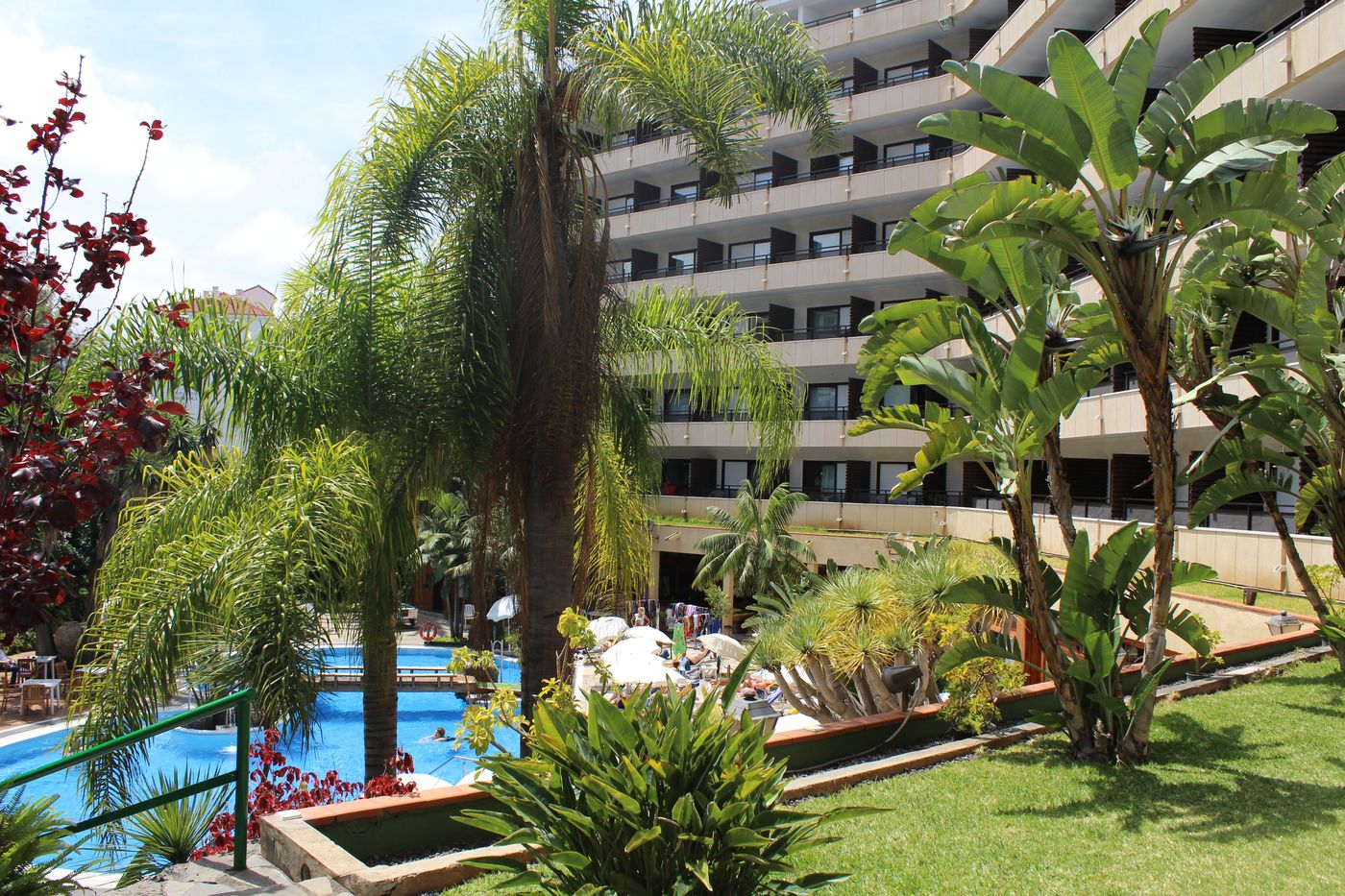 Smy-Puerto-de-la-Cruz-General-view-6