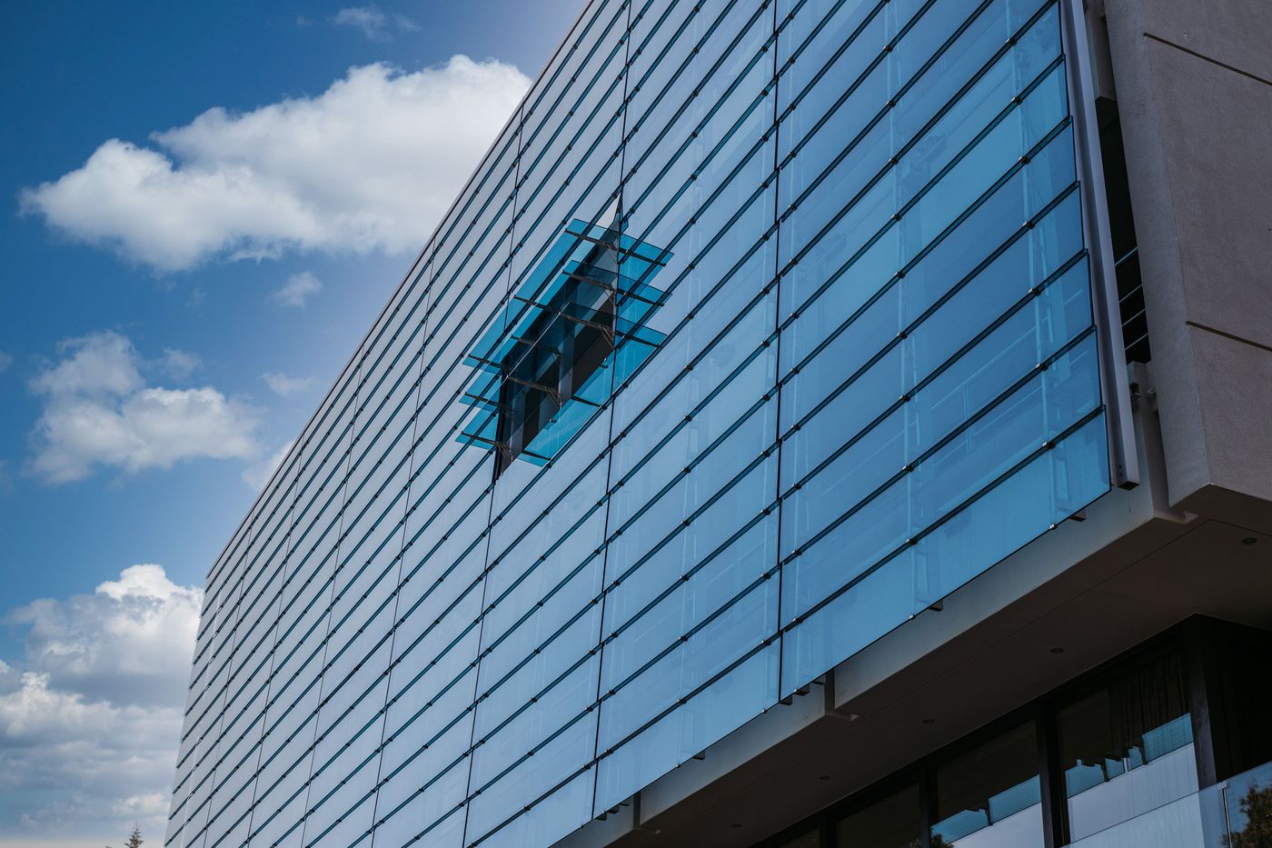 Life-Gallery-athens-General-view-3