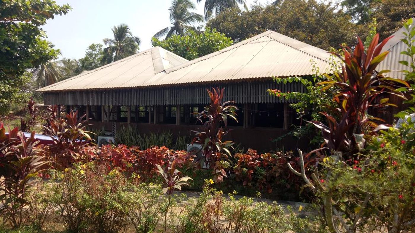 Primo Bom Terra Verde