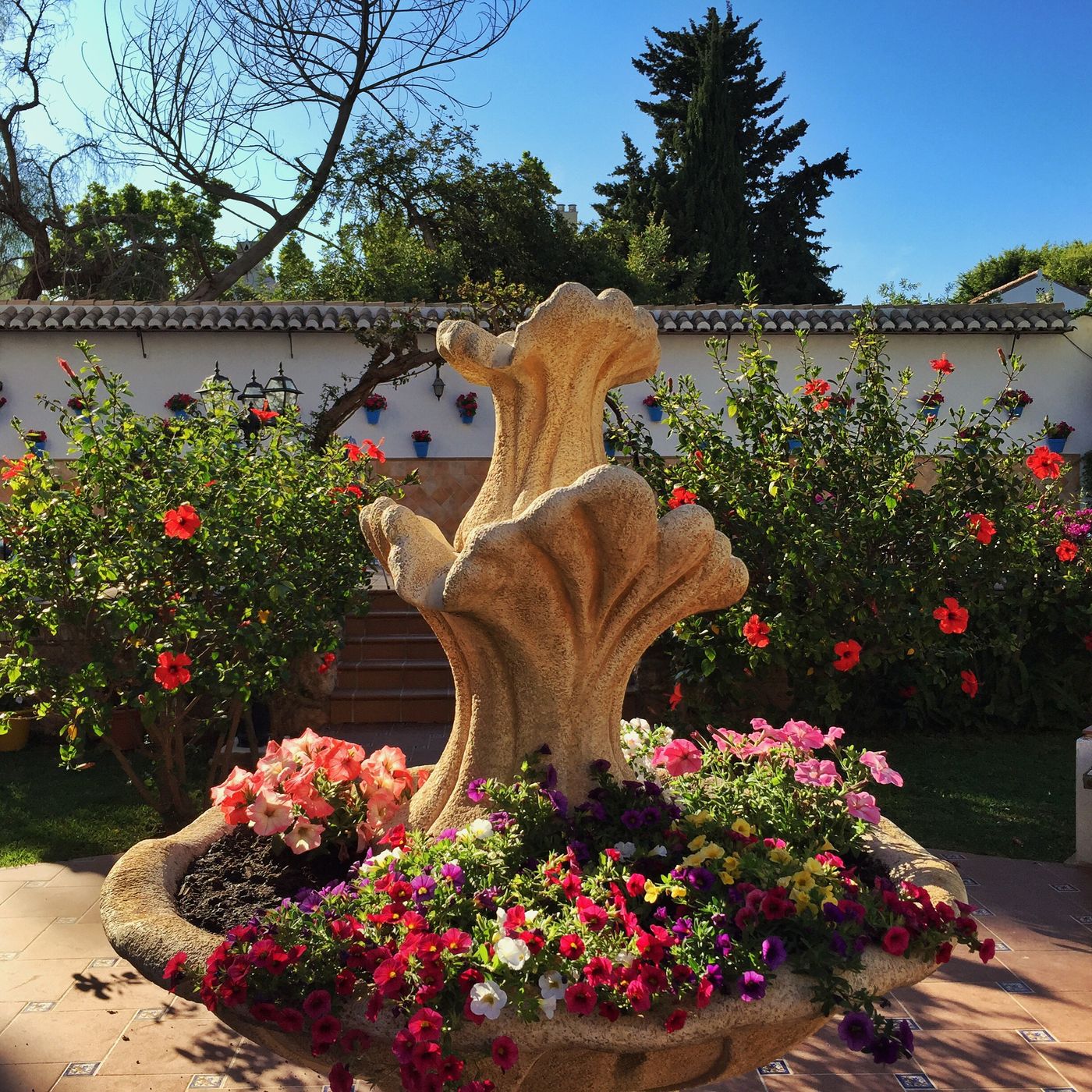 Carmen-Teresa-Terrace-19