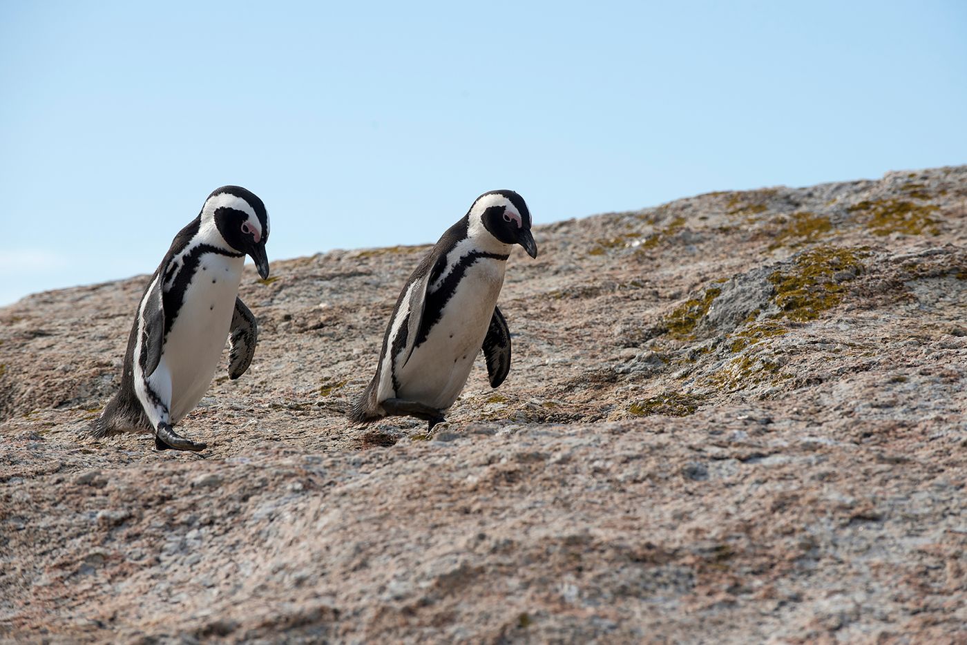 More-Quarters-Neighbourhood-Hotel-Sports-and-Entertainment-28