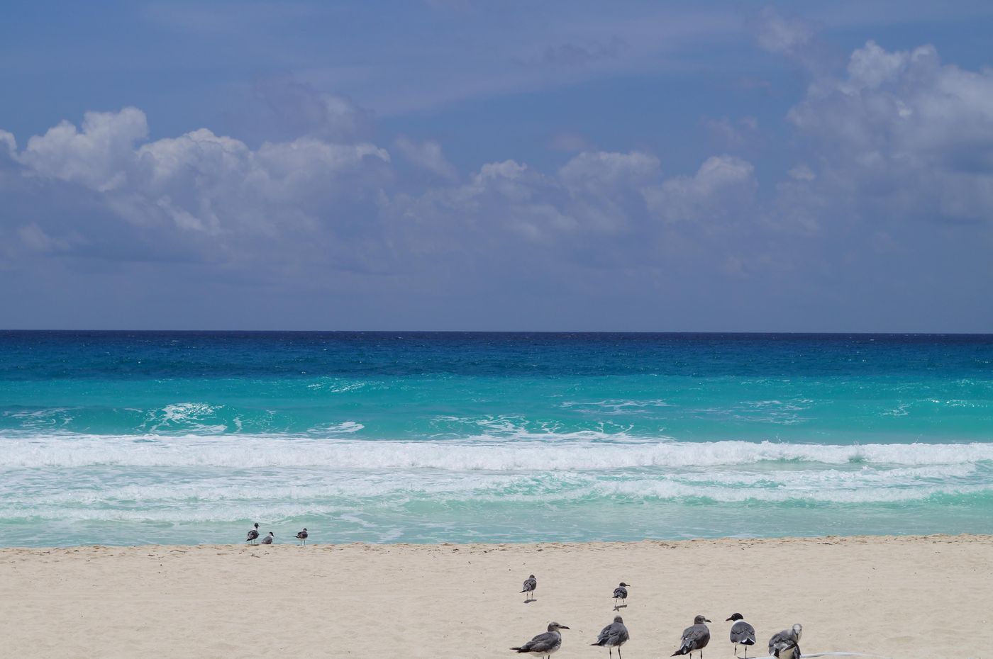 Solymar-Beach-Resort-Beach-46