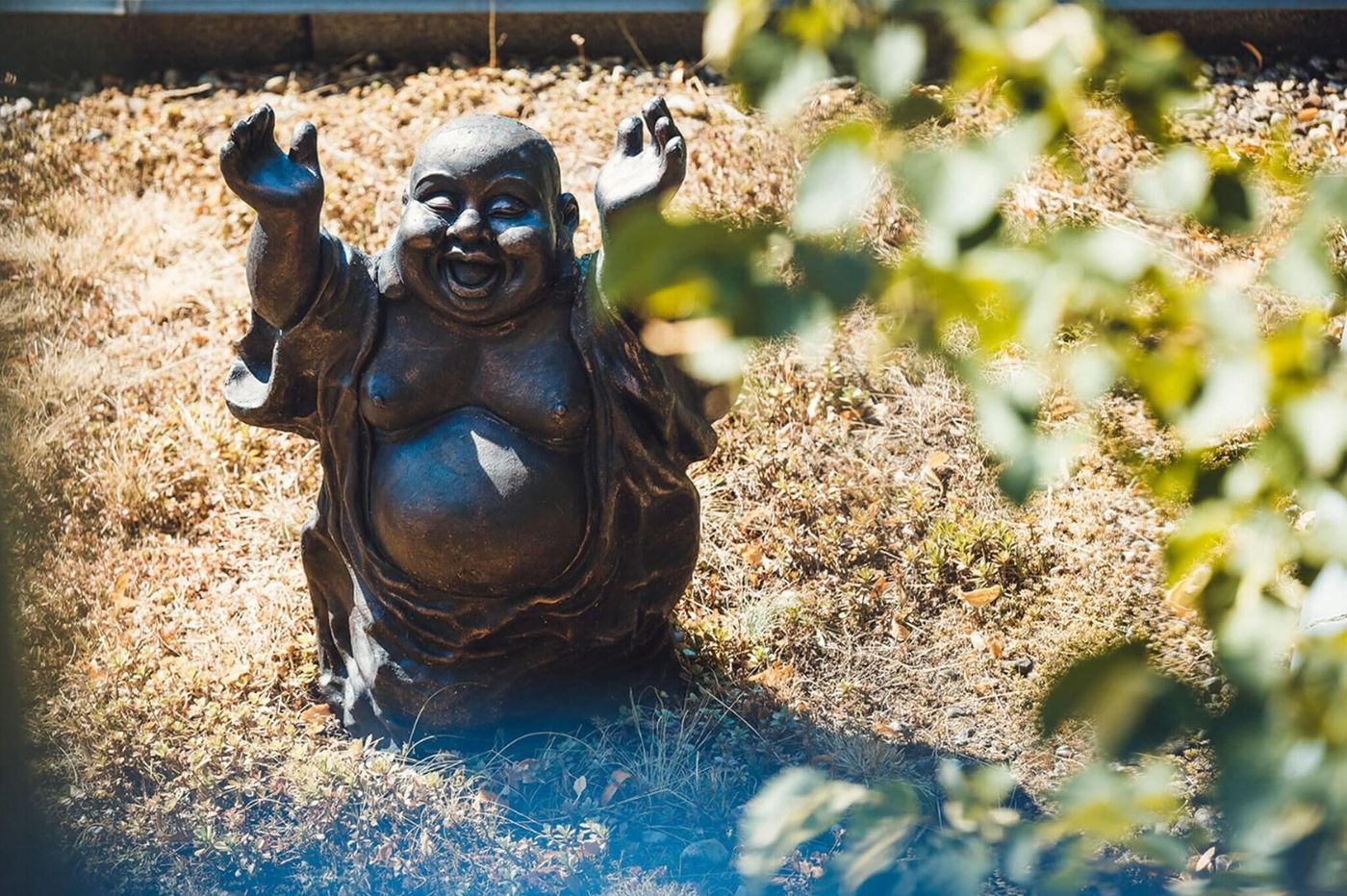 Hotel-Ambiente-Berlin-City-Terrace-10