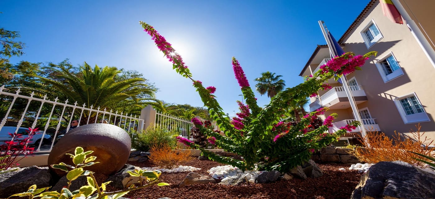 Los-Dragos-Del-Norte-General-view-12