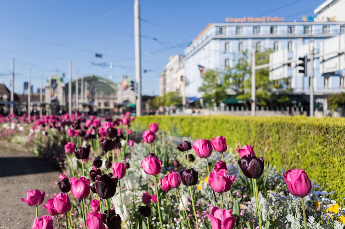 Hotel Euler Basel-Switzerland-BASEL-General view-3
