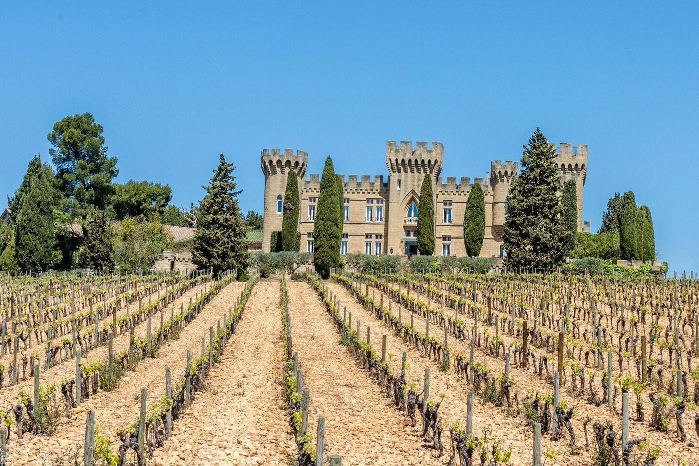 Hostellerie Du Chateau Des Fines Roches-France-CHÂTEAUNEUF-DU-PAPE-General view-7