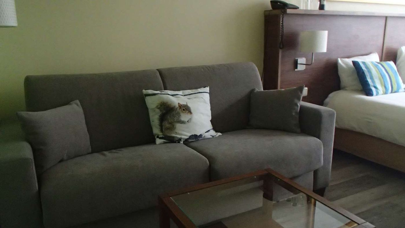 Best Western Hotel Den Haag-Netherlands-Den Haag-Room-10