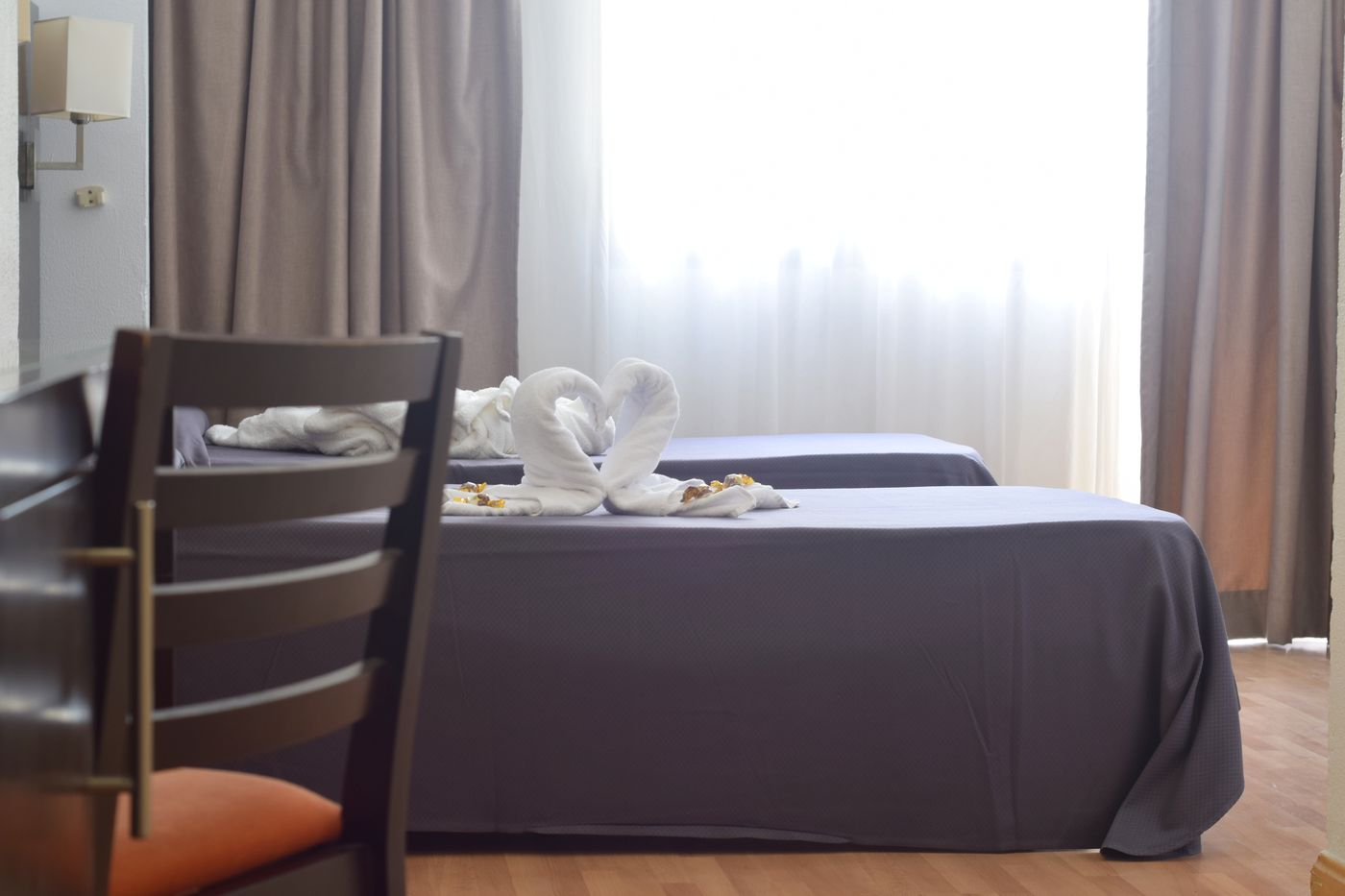 Adonis-Pelinor-Room-25