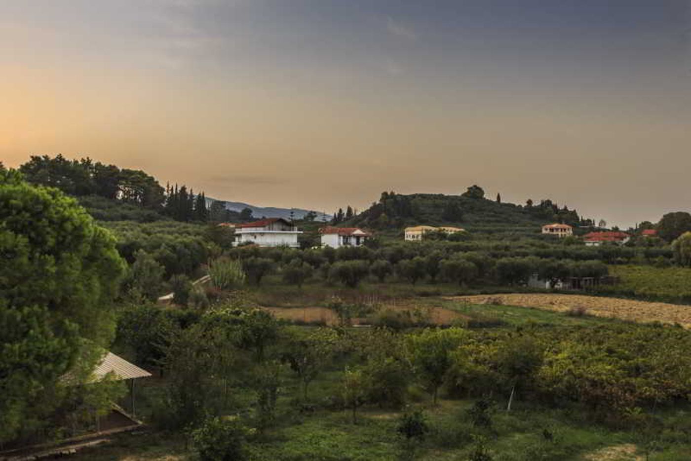 Sunshine-General-view-31