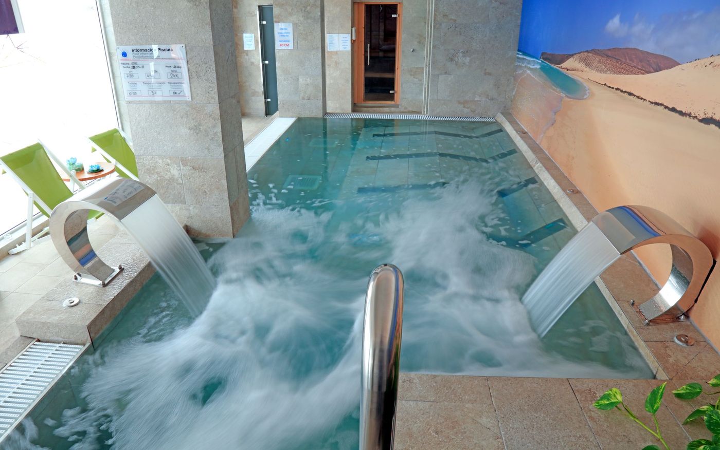 Lemon & Soul Cactus Garden