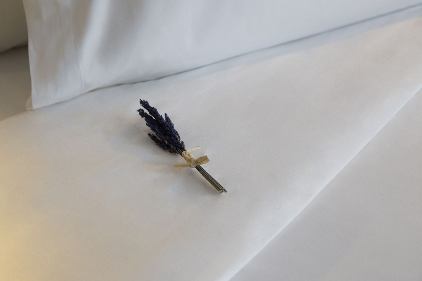 ICON-Embassy-Room-29