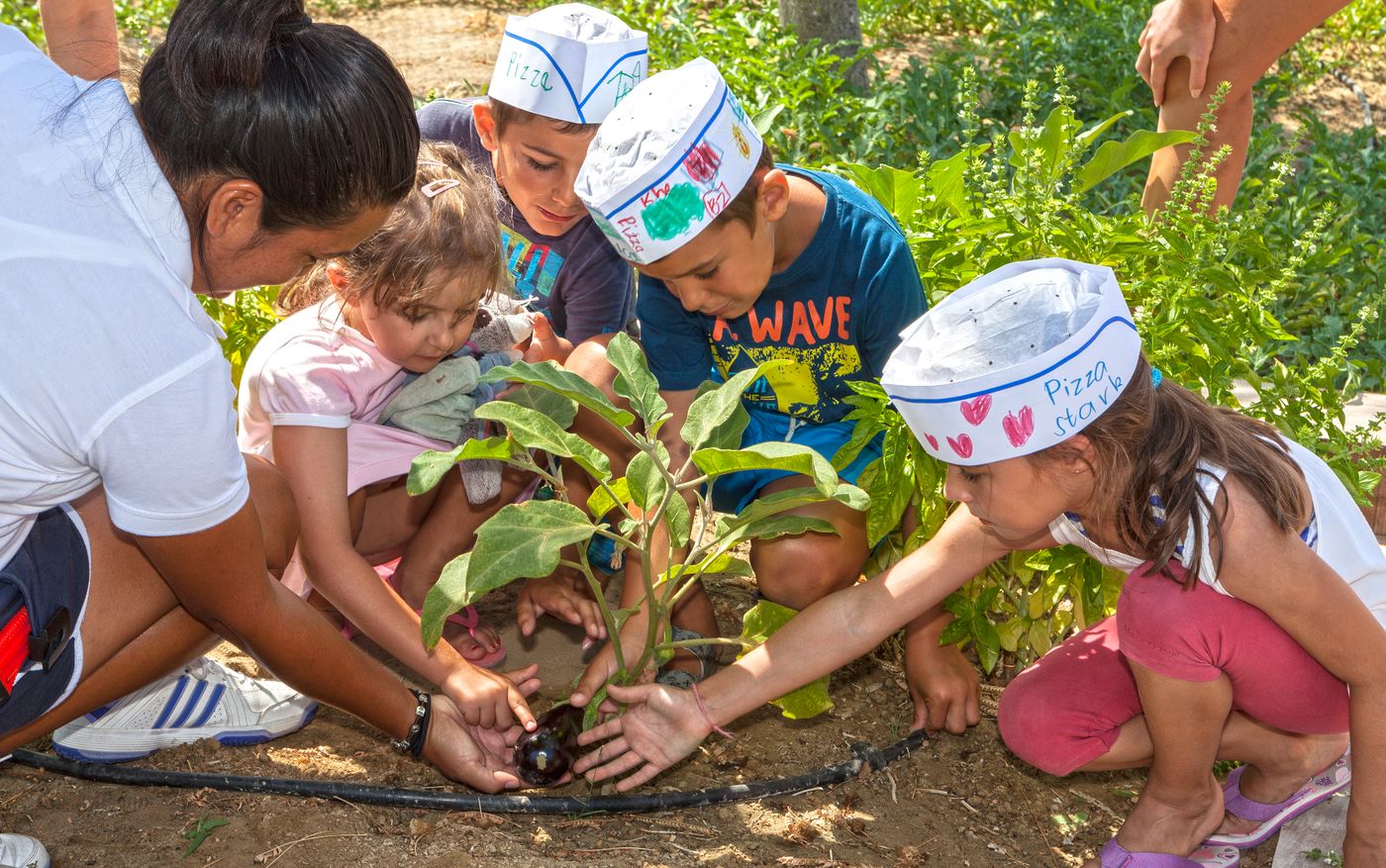 Neptune-Hotels---Resort--Convention-Centre---Spa-Sports-and-Entertainment-66