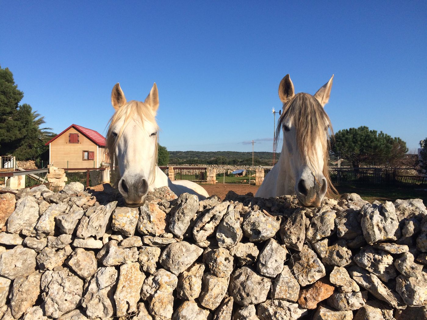 Las-Brisas-I---II-Beach-32