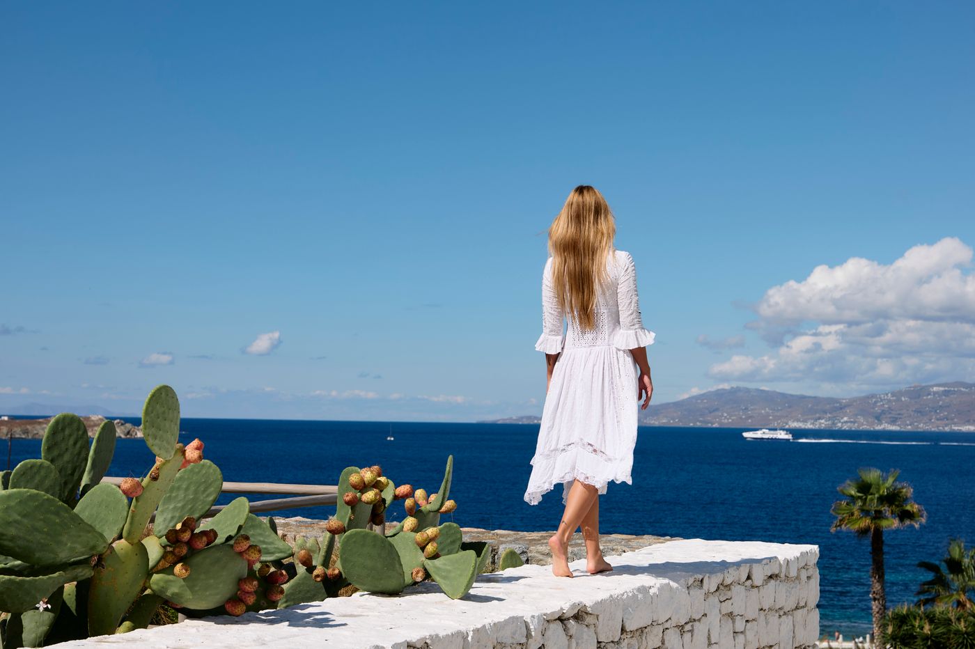 Mykonos-Earth-General-view-74