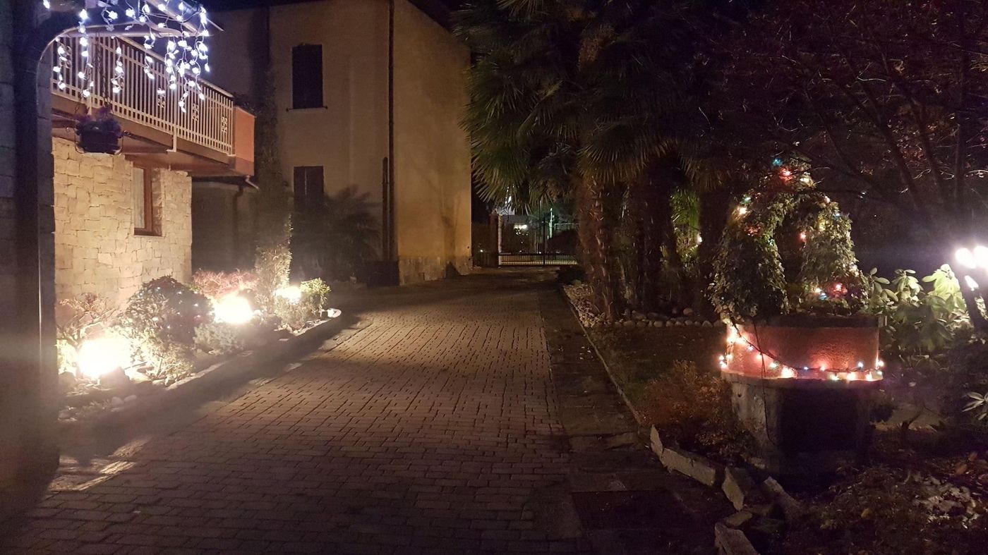 B&B Le Palme-Italy-BULGAROGRASSO-General view-5