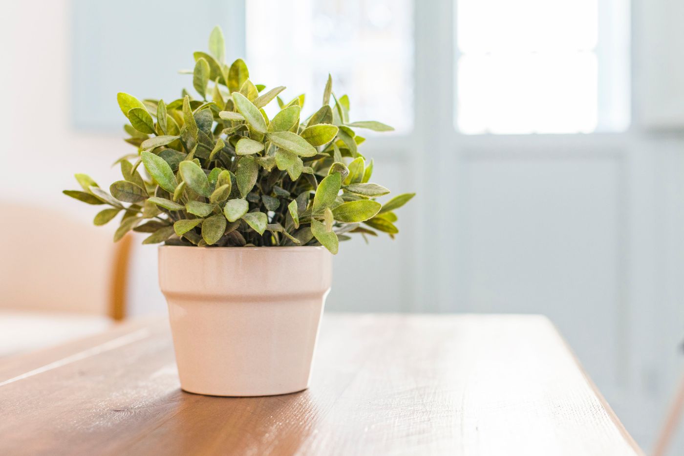 Apartamentos Suites Santa Cruz - Spain - SEVILLA - Lobby - 7