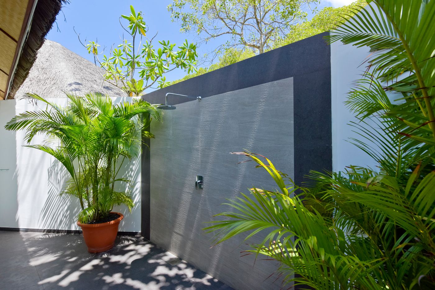 Dreamland Maldives 19.11