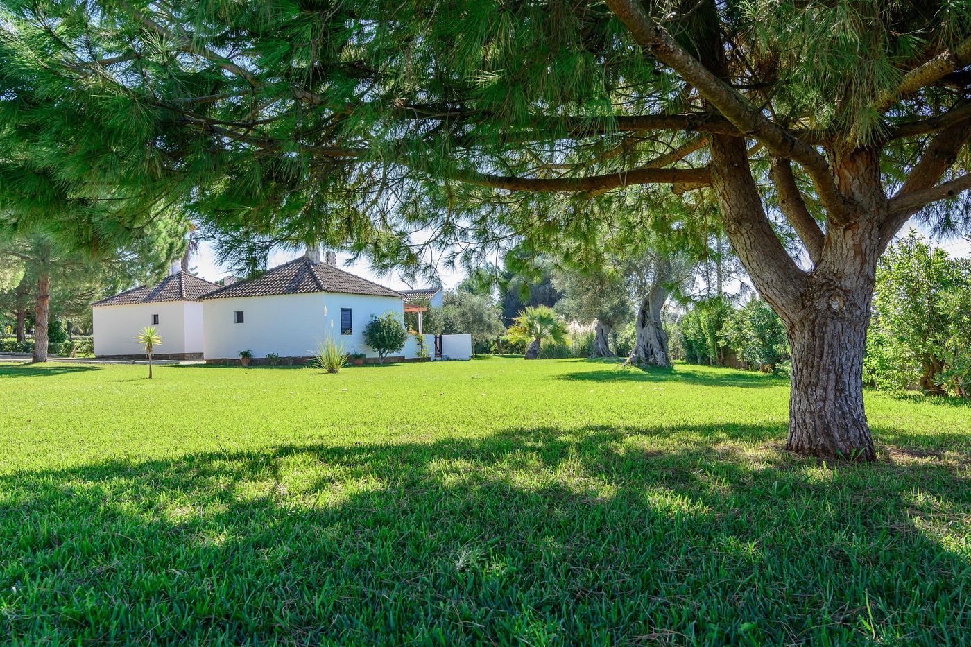 Pedras-da-Rainha-General-view-16