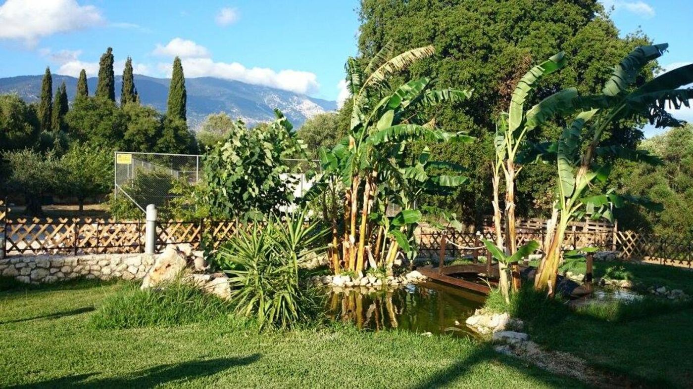 Hotel-Sunrise-Inn-Sports-and-Entertainment-16