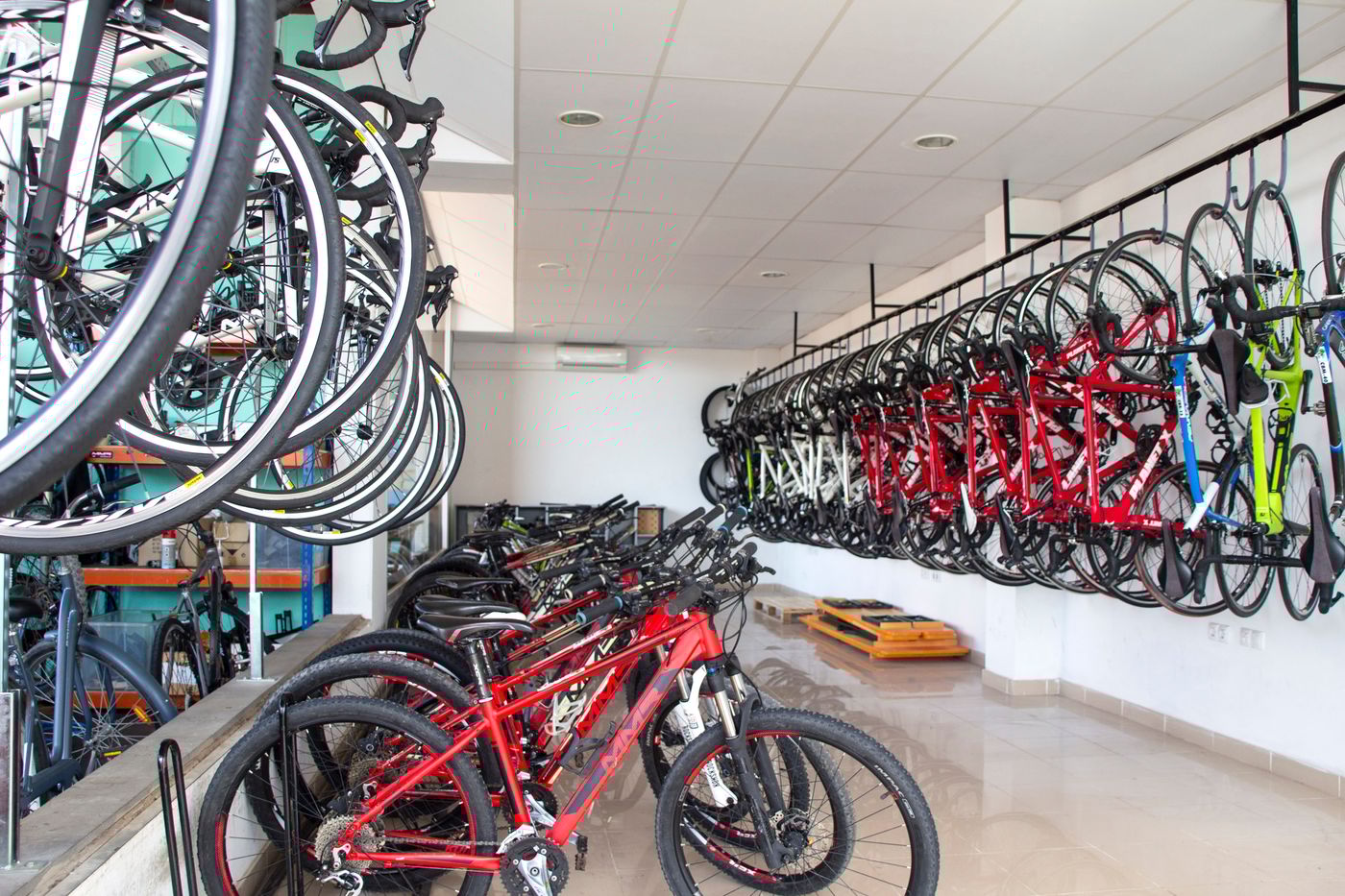 Oasis-Papagayo-Sport---Family-Sports-and-Entertainment-71