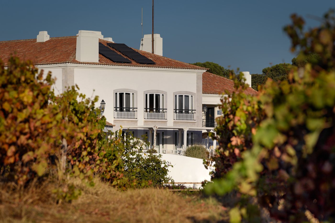 Casa-Palmela---Small-Luxury-Hotels---Villas-General-view-85