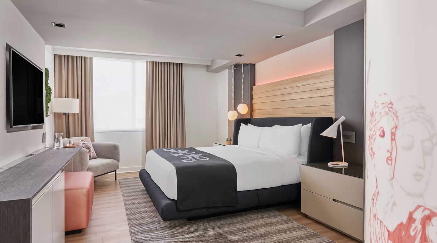Hotel Zena Washington DC - United States - WASHINGTON DC - Room - 5