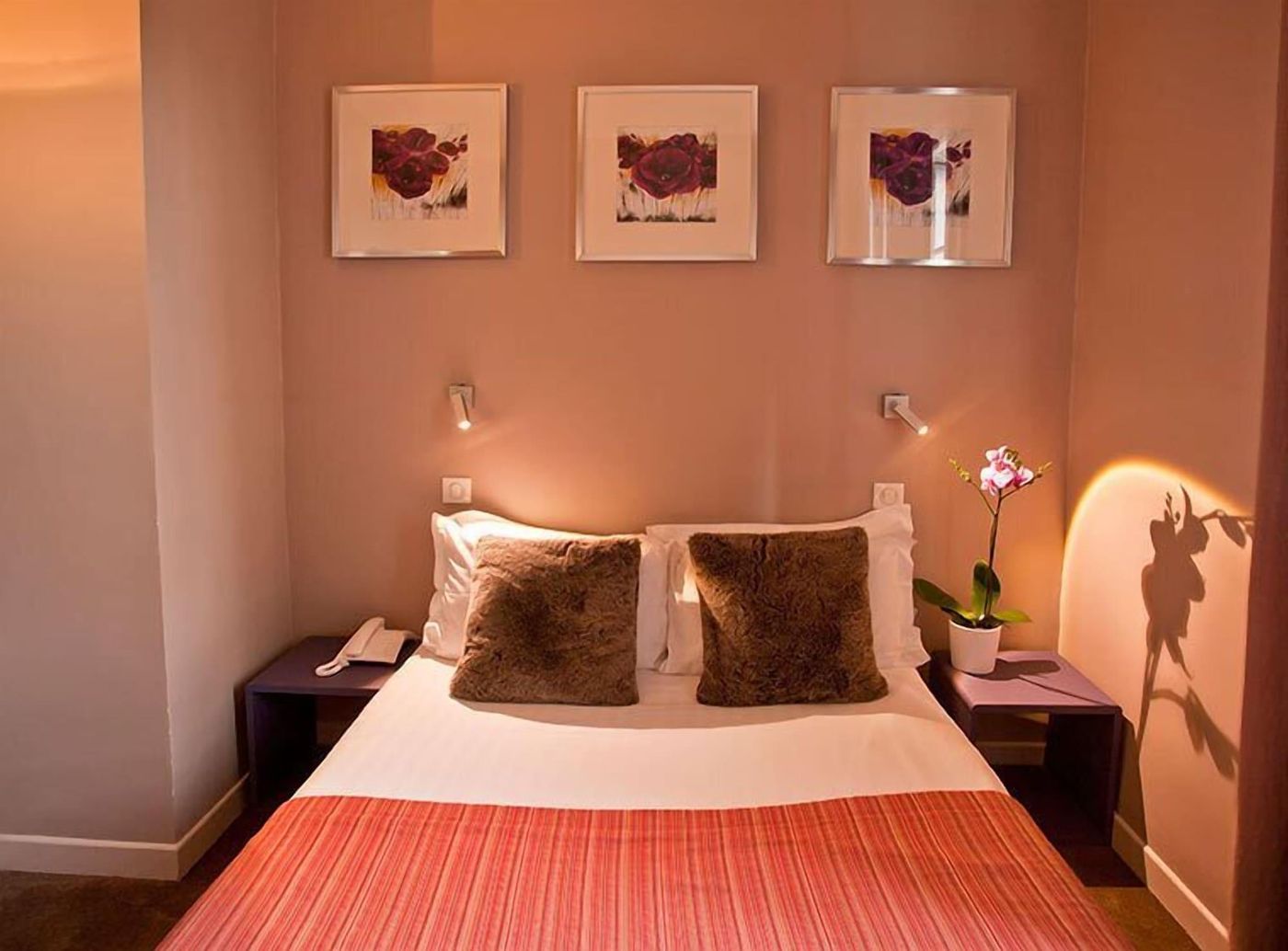 Hôtel des Arceaux - France - MONTPELLIER - Room - 5