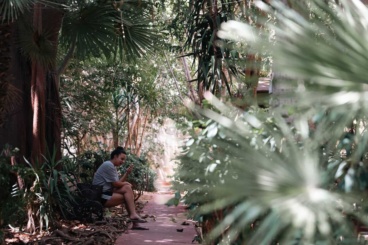 Sprachcaffe-International-Aparthotel-Pembroke-General-view-84