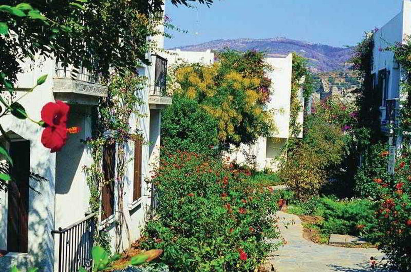 L-Ambiance-General-view-4