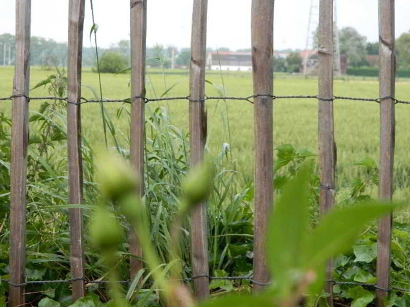 Boutique Hotel Butler-Belgium-Zuienkerke-General view-3
