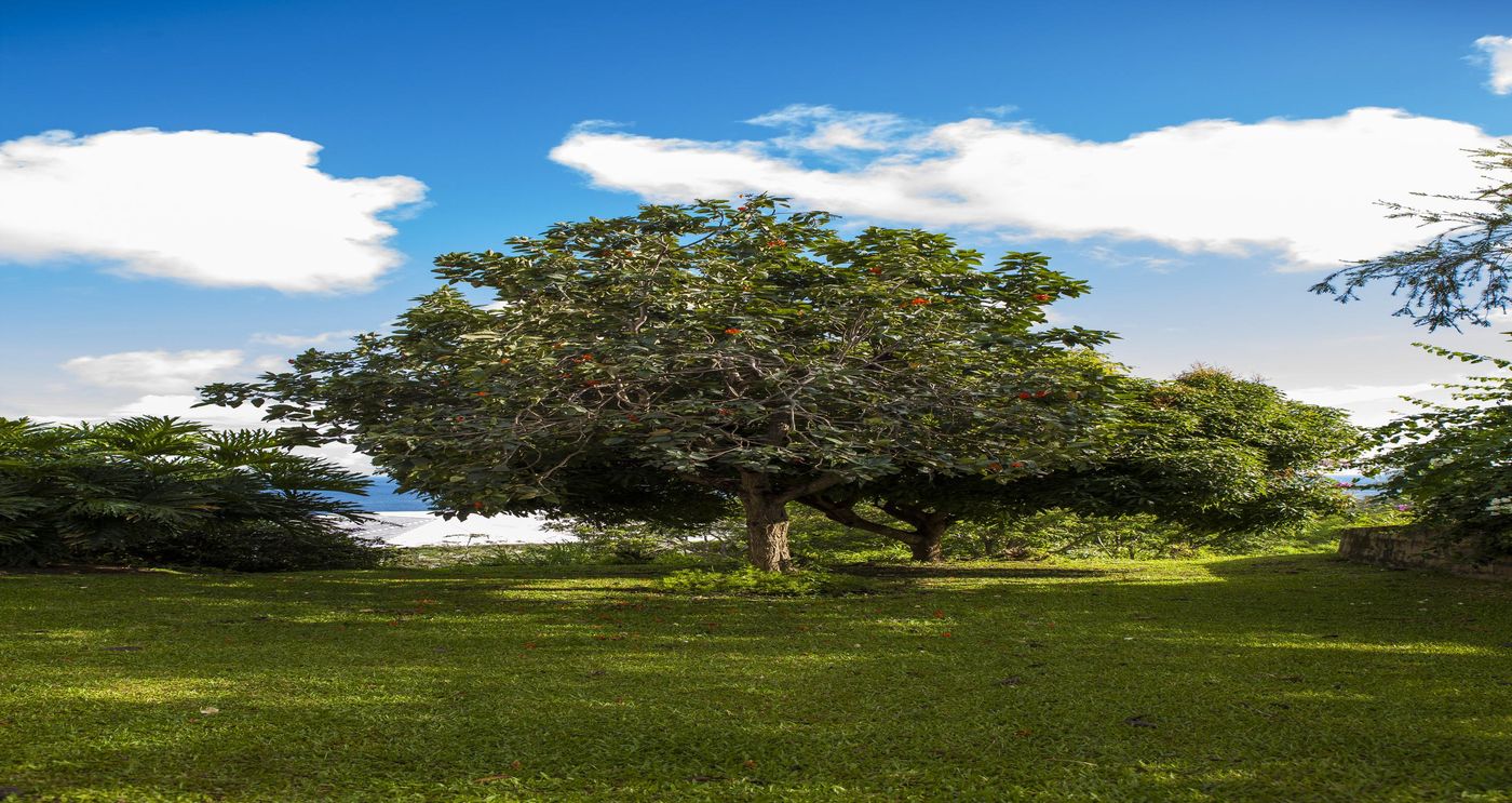 The-Villas-At-Stonehaven-Room-31