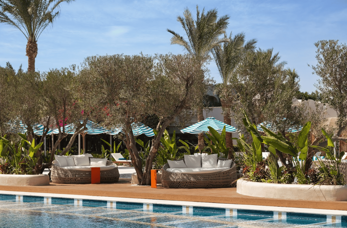 Desert Rose Hurghada 