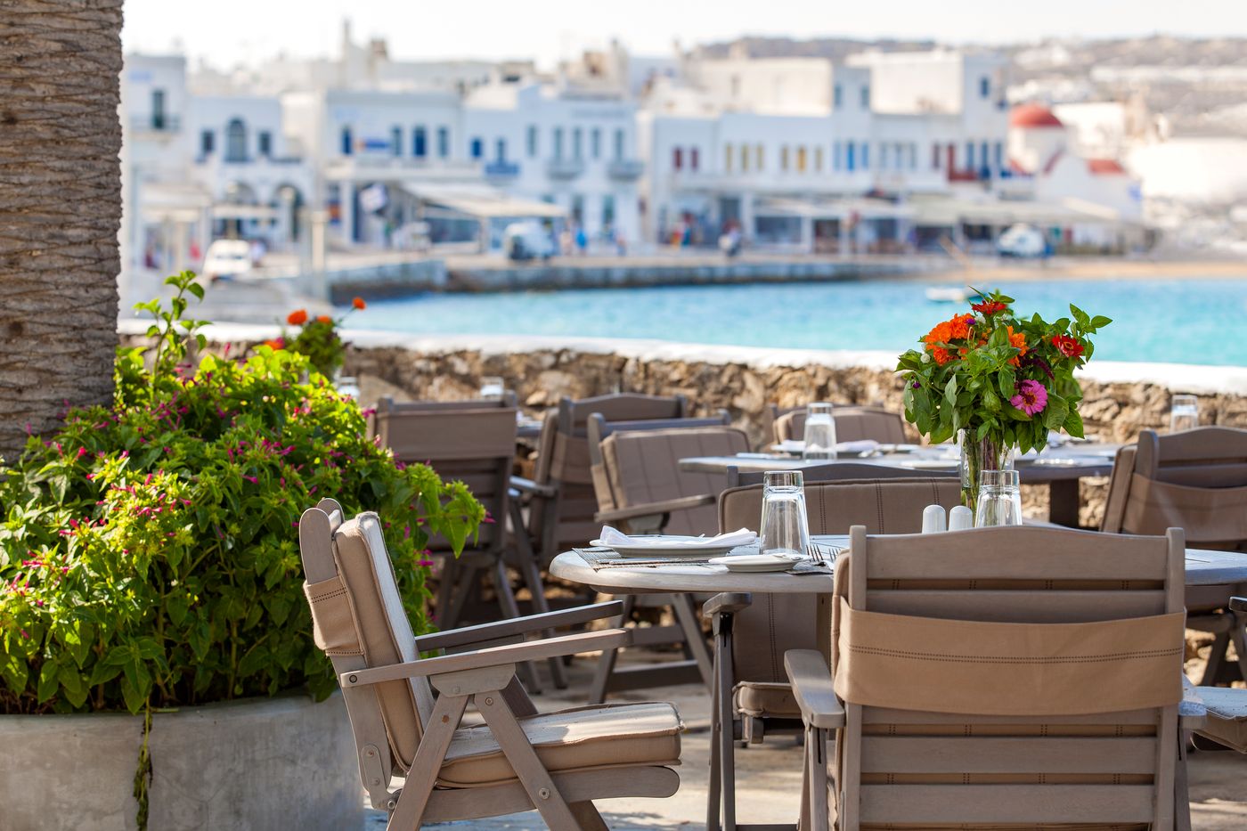 Leto-General-view-11