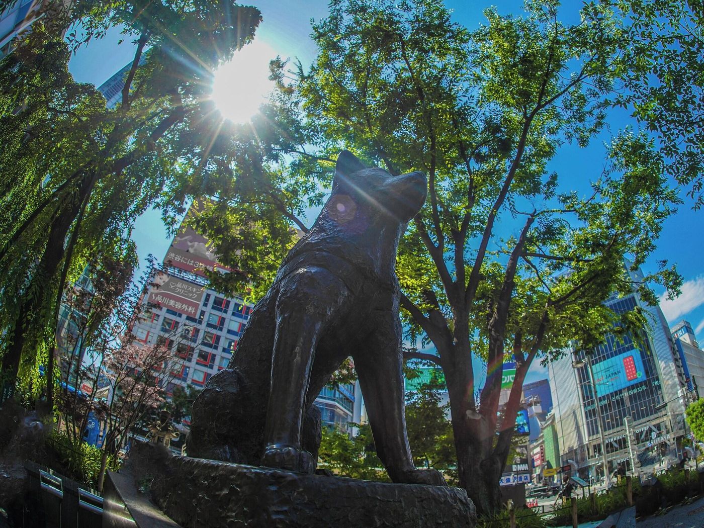 Shibuya Creston Hotel-Japan-Tokyo-General view-9