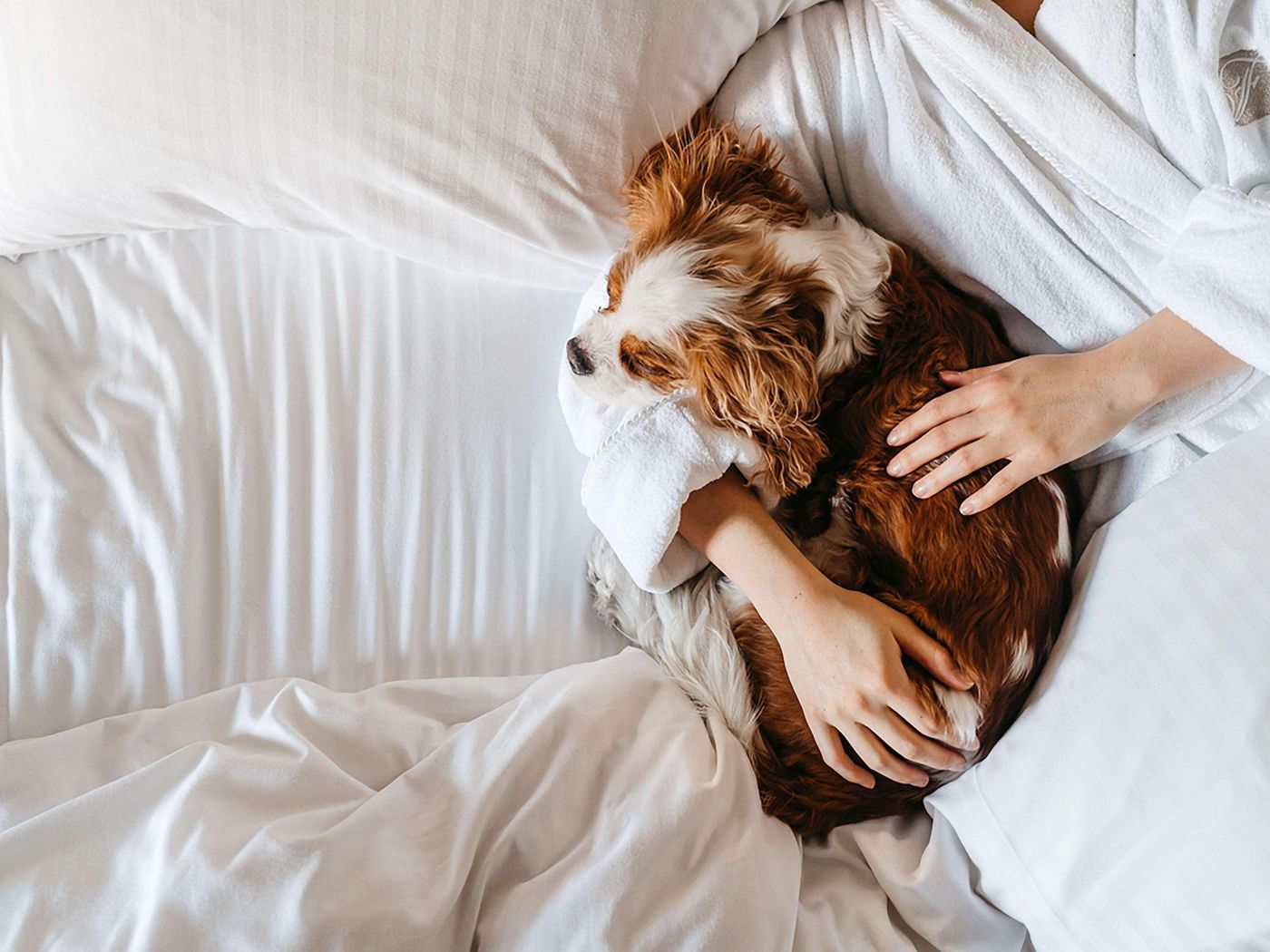 Fairmont-Vancouver-General-view-53