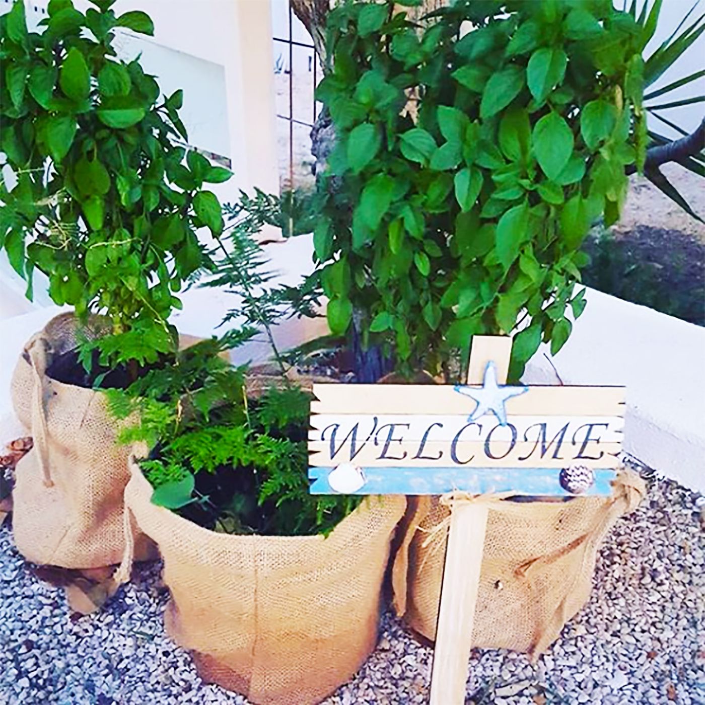 Eva-Mare-Hotel-and-Apartments---Adults-Only-Restaurant-86