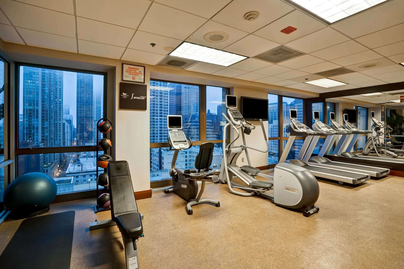 Homewood Suites by Hilton Chicago-Downtown - United States - CHICAGO - Sports and Entertainment - 7