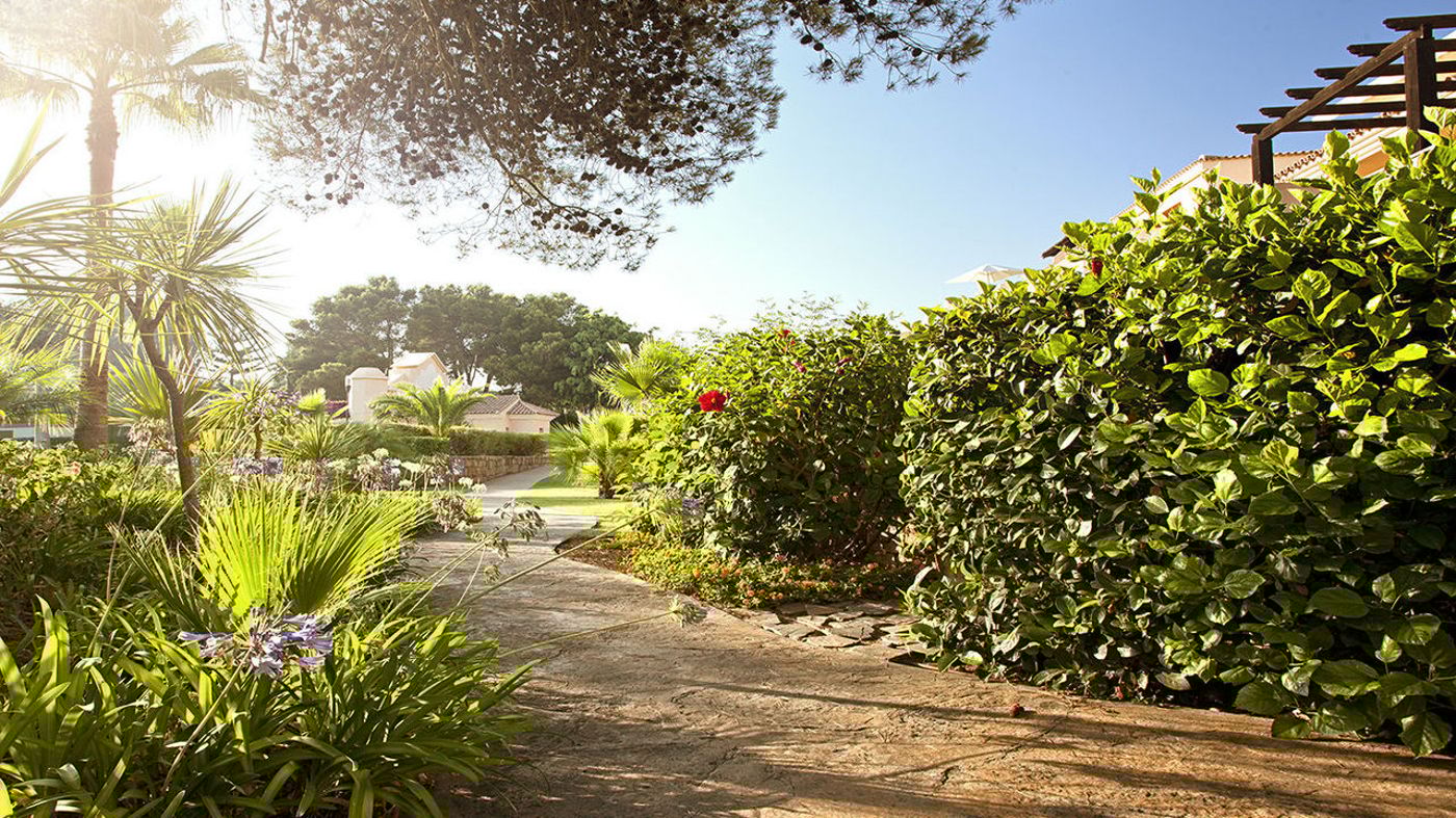 Mimosas-Banus-General-view-8