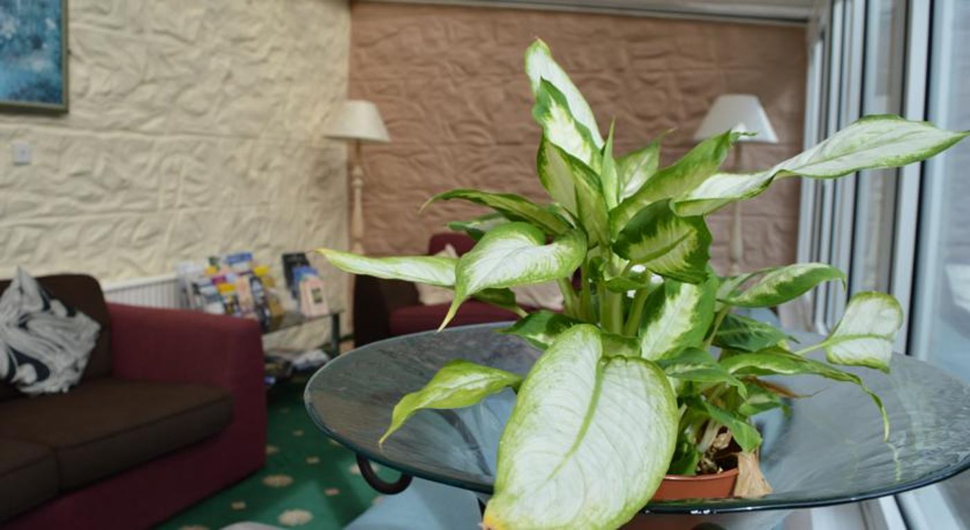 Le-Pommier-Hotel---Restaurant-Bar-33